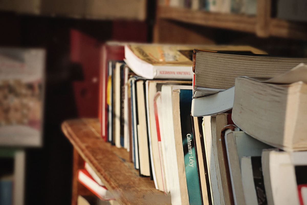 Étagères murales en bois clair stylisées avec livres et objets déco