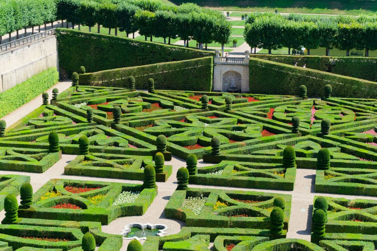 Haie naturelle dense servant de brise vue jardin le long d'une allée